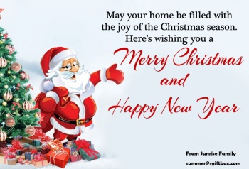 Merry Christmas & Happy New Year!