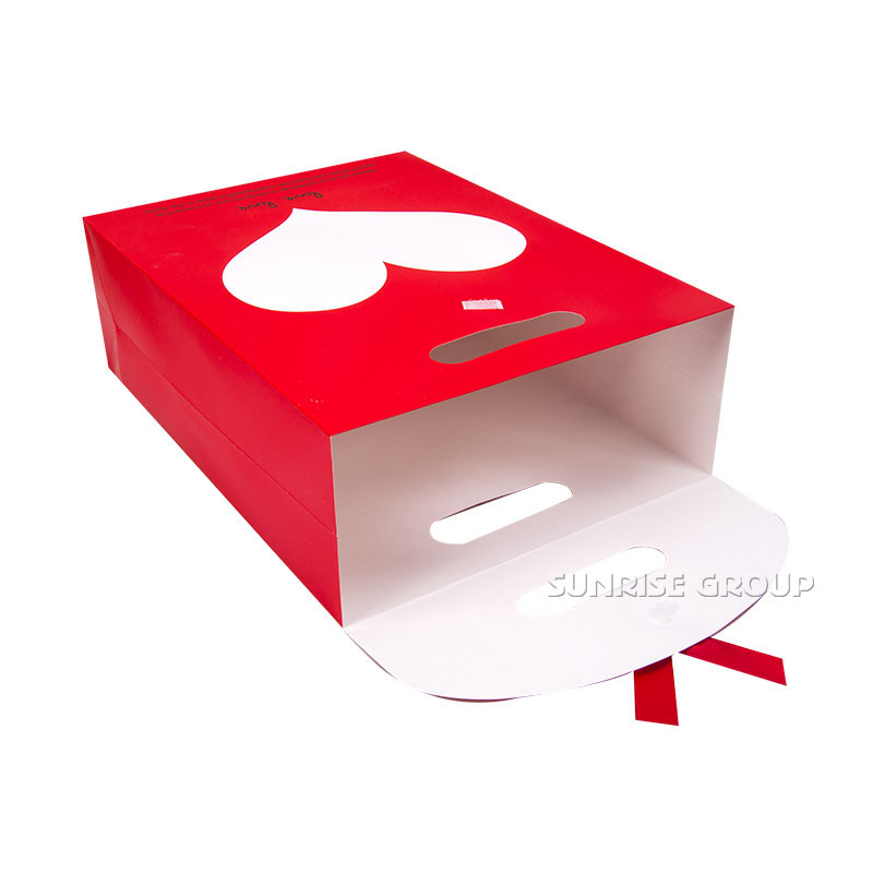 Custom Paper Hand Bag for Packaging Gift Bag